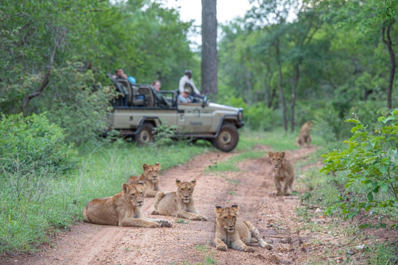 Вилла Kapama Karula Kapama Game Reserve Экстерьер фото