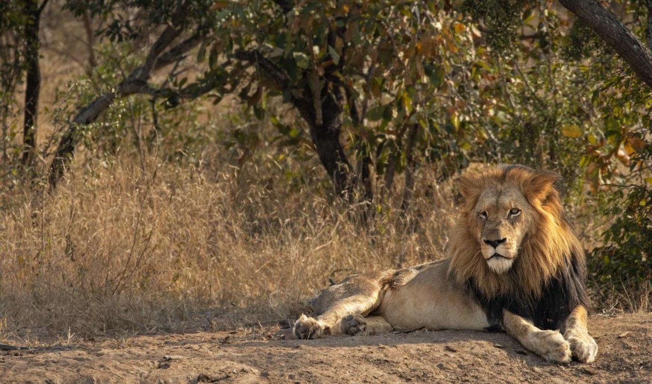 Вилла Kapama Karula Kapama Game Reserve Экстерьер фото