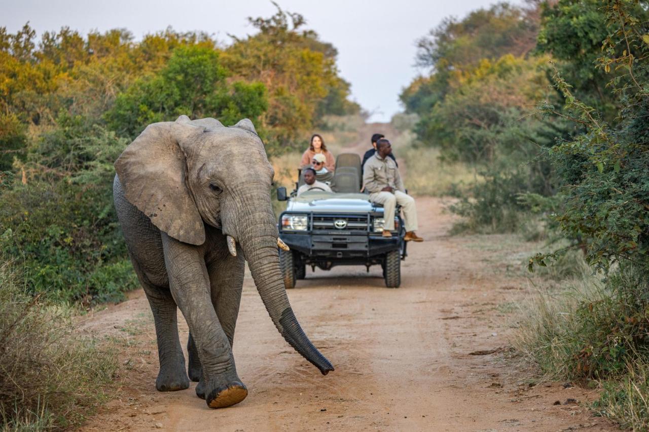 Вилла Kapama Karula Kapama Game Reserve Экстерьер фото