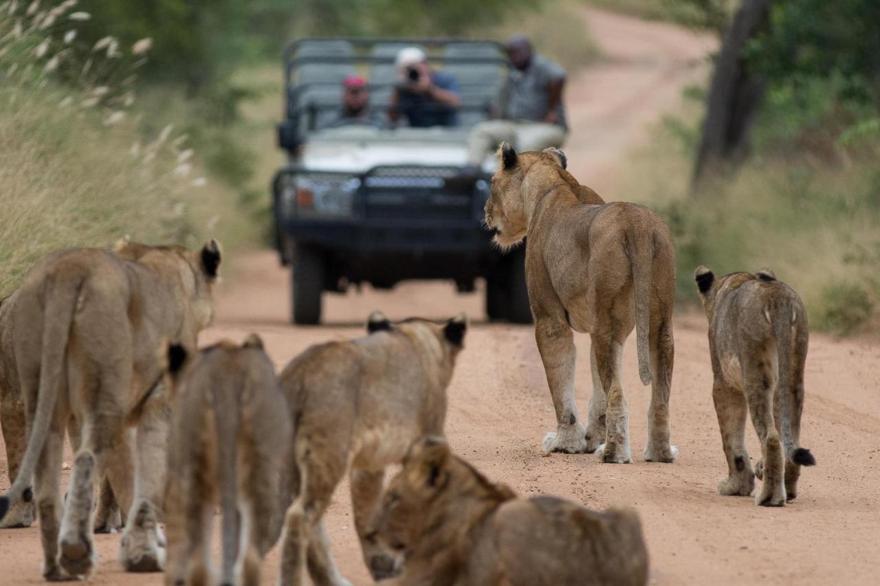 Вилла Kapama Karula Kapama Game Reserve Экстерьер фото